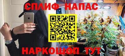 PSILOCYBIN Ирбит
