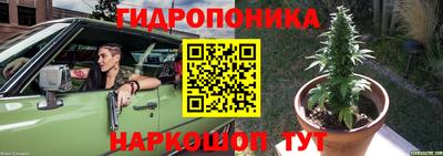 PSILOCYBIN Ирбит