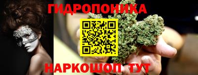 PSILOCYBIN Ирбит