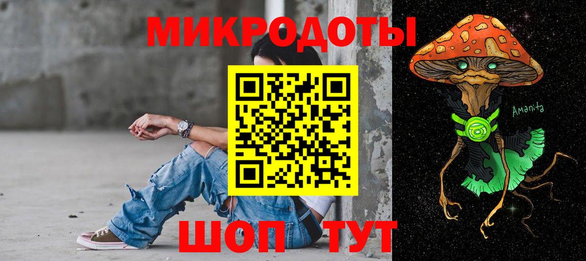 Псилоцибиновые грибы Psilocybine cubensis Верхняя Салда